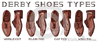 Menâ€™s derby shoes Vector Illustration